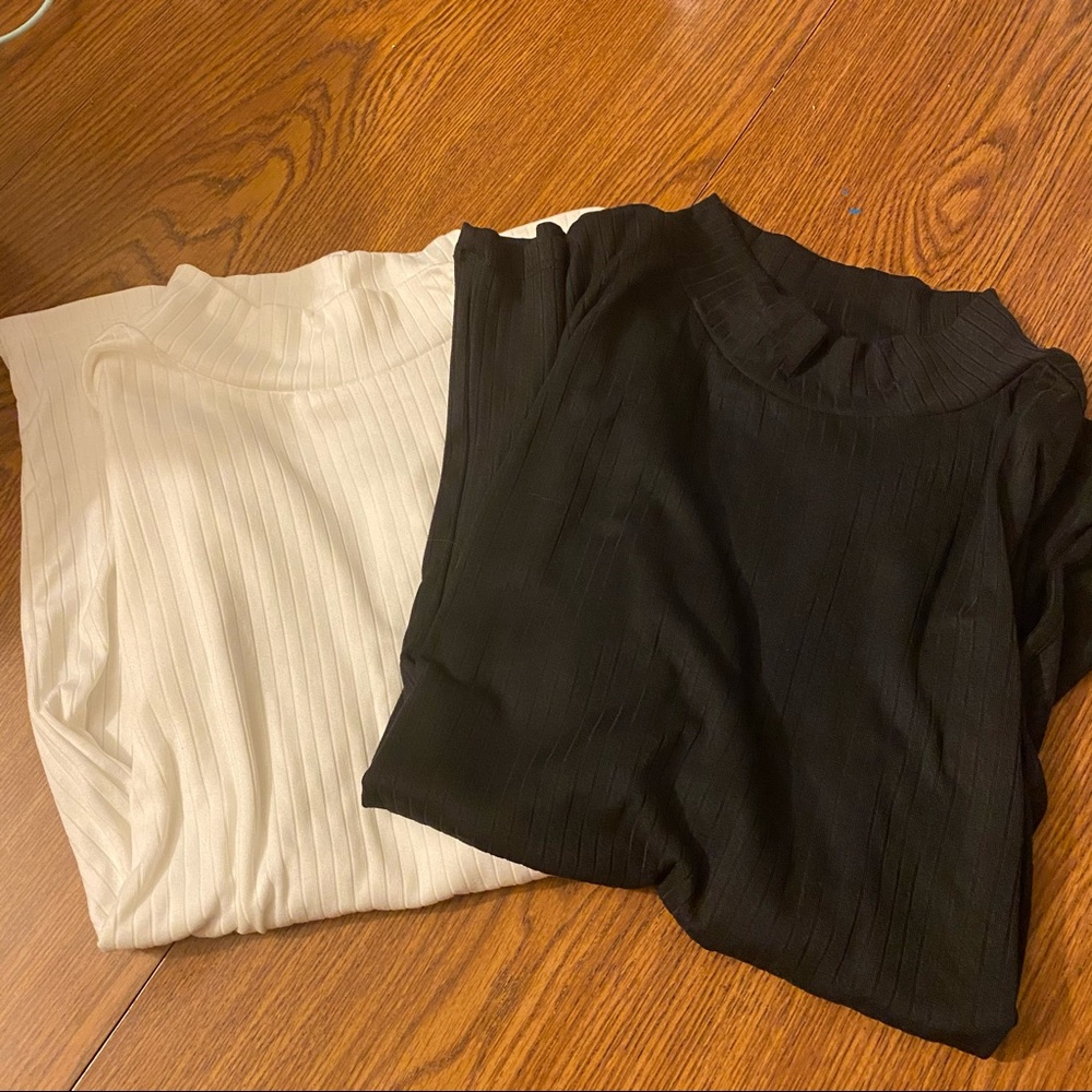 Set of 2 Crop Tank Ribbed Turtlenecks
